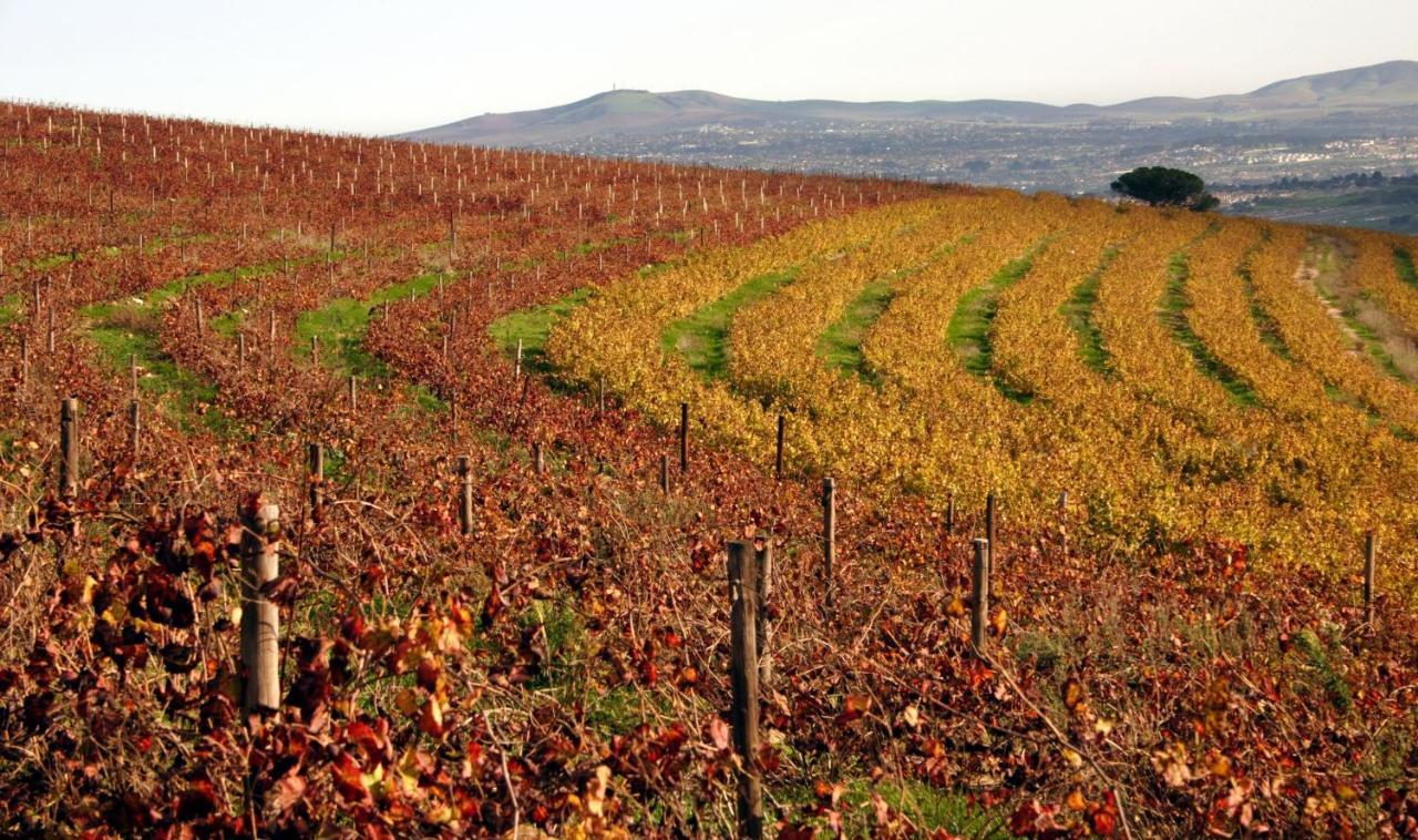 ステレンボッシュMooiplaas Wine Estateアパートメント エクステリア 写真