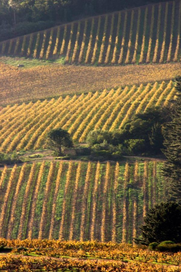 ステレンボッシュMooiplaas Wine Estateアパートメント エクステリア 写真
