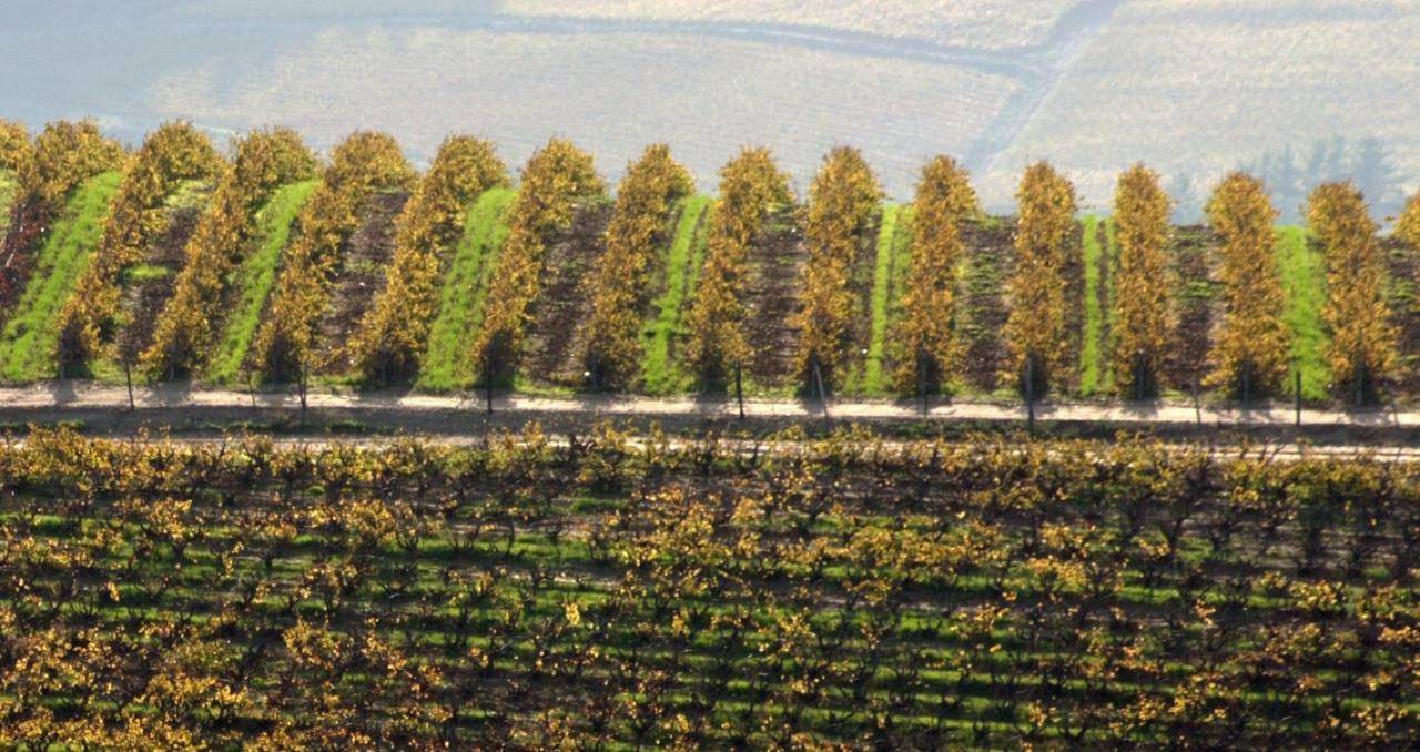 ステレンボッシュMooiplaas Wine Estateアパートメント エクステリア 写真
